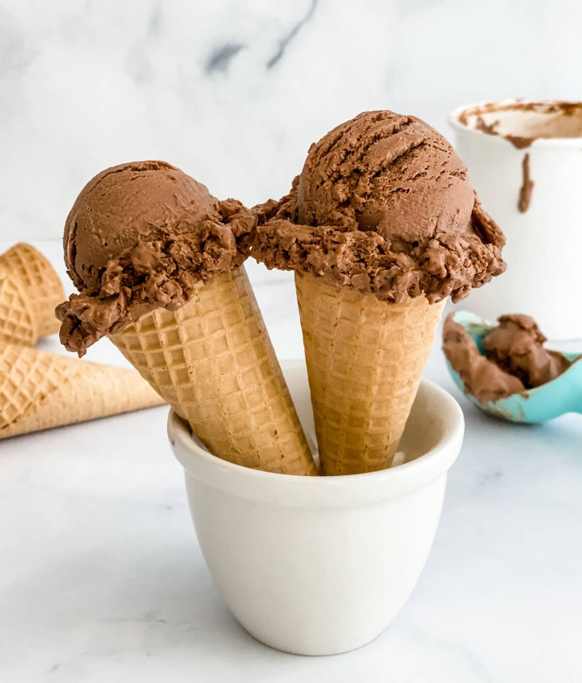 Chocolate Ice Cream [2 Scoops]
