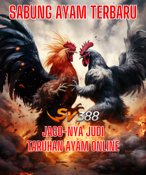 Situs Sabung Ayam 5X Win Bonus Jeckpot Terbesar 2025