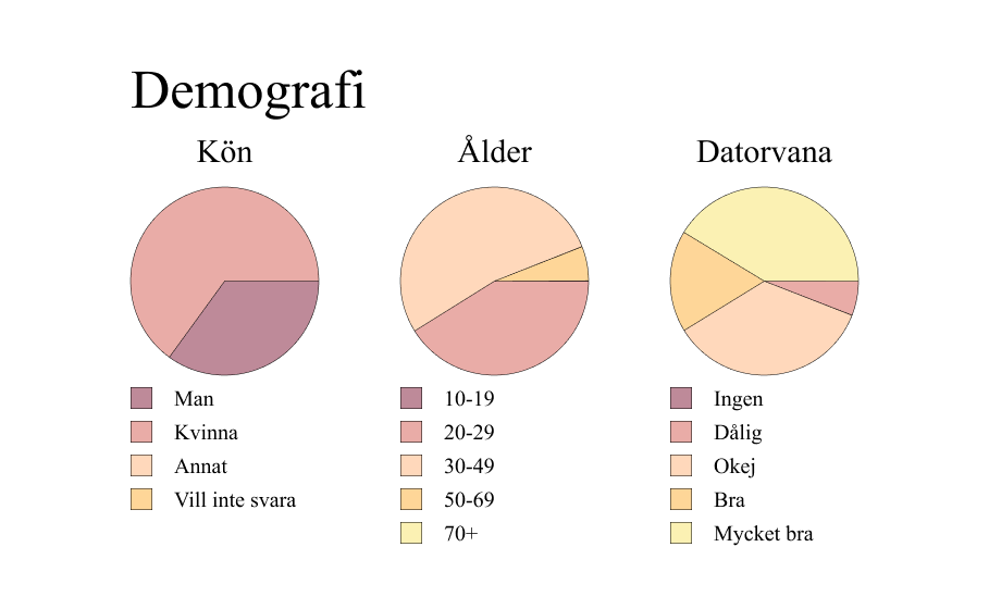 Cirkeldiagram över kön, ålder och datorvana