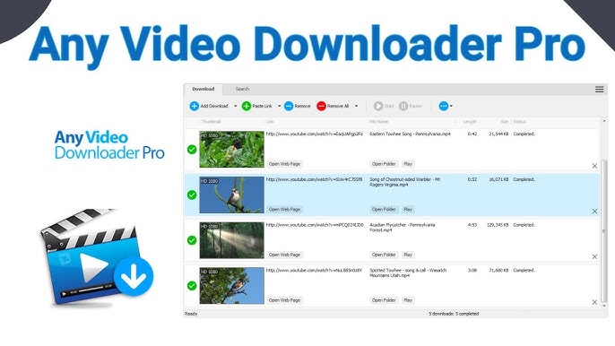 Any Video Downloader Pro 9.1.9